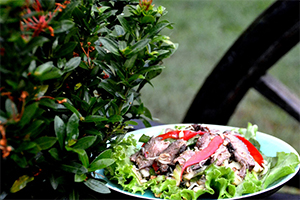 Beef  Cucumber Salad
