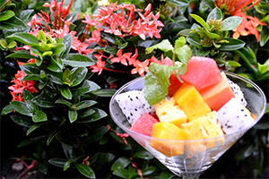 Fresh Fruit Cocktail